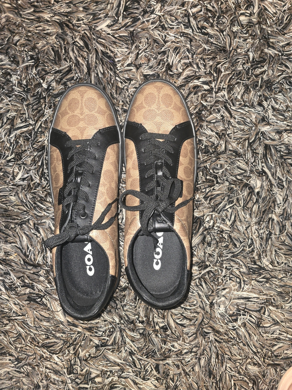 Coach Signature Brown and Black Sneakers